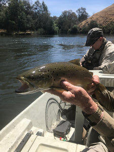 Share your best fish photo for chance to win our 10 best trout flies!