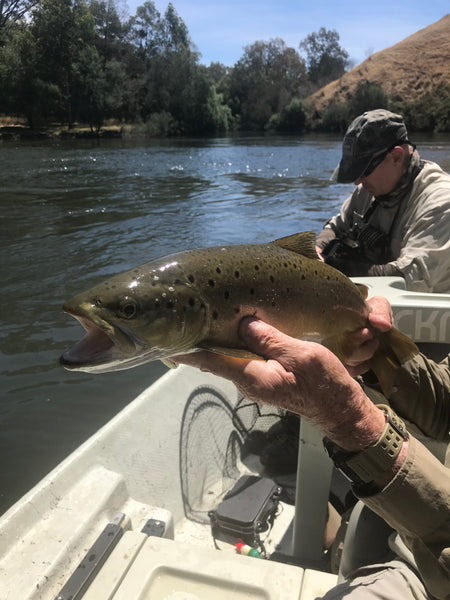 Share your best fish photo for chance to win our 10 best trout flies!