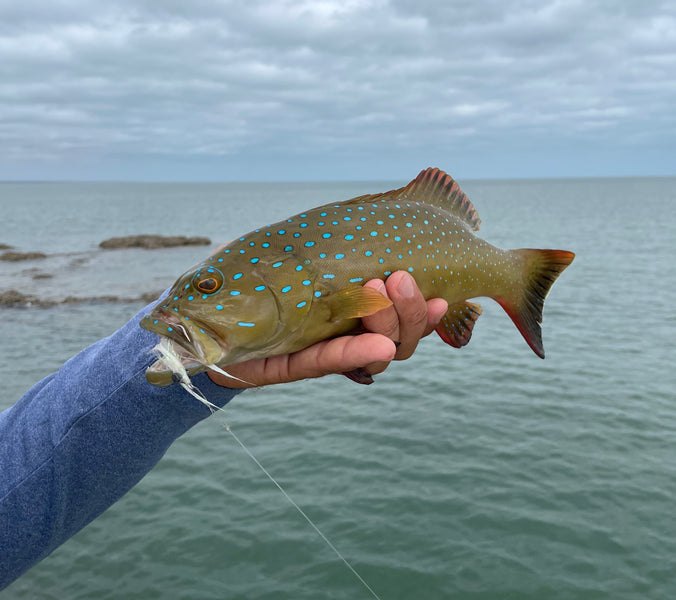 The Wonders of Weipa