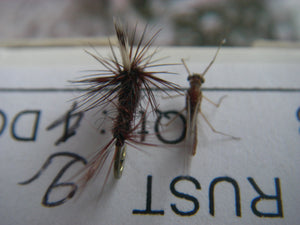 Looking to improve your fly fishing?    Match the hatch
