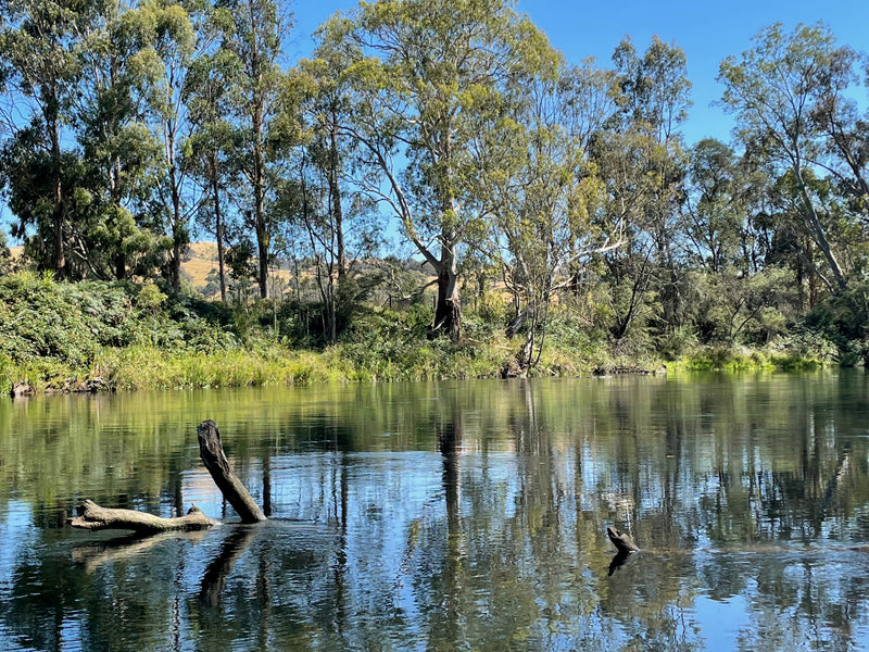 Red Tag Fly Fishers Club