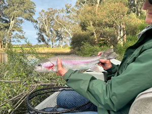 Summer fly fishing 2023-2024