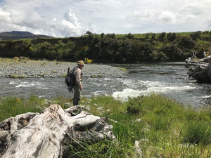 New Zealand in November