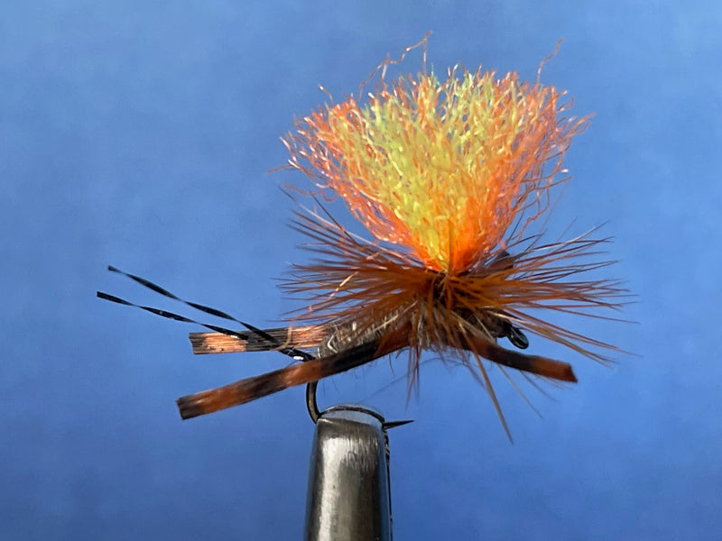 New Fly