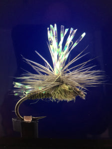 Our fly of the Month for May