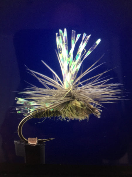 Our fly of the Month for May