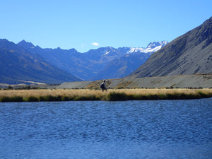 Five best flies for trout fly fishing in New Zealand