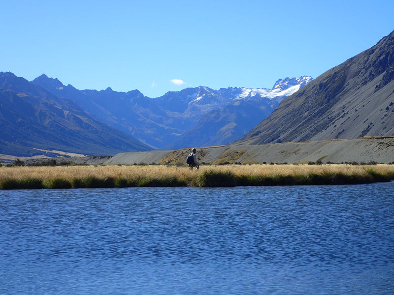 Five best flies for trout fly fishing in New Zealand
