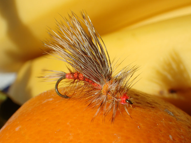 Ten best flies for trout fly fishing in Australia