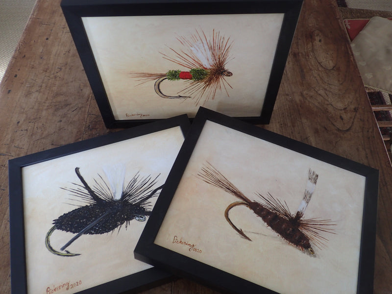 Original Oil Paintings