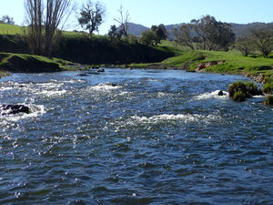 Spring Fishing Upper Eildon Catchments