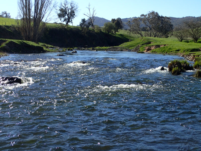 Spring Fishing Upper Eildon Catchments