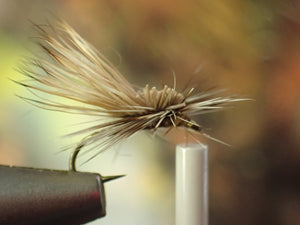 Our fly of the Month For October. Hot Creek Caddis