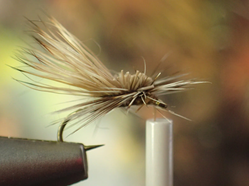 Our fly of the Month For October. Hot Creek Caddis