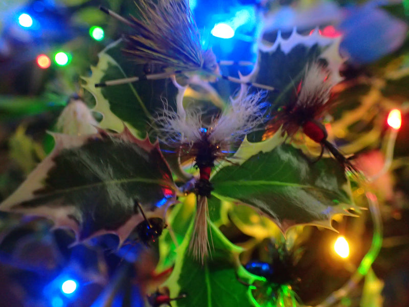 Summer Fly Fishing Tips & Best Christmas Wishes.
