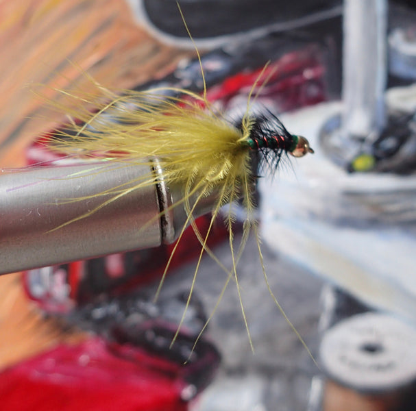 Our fly of the Month for June