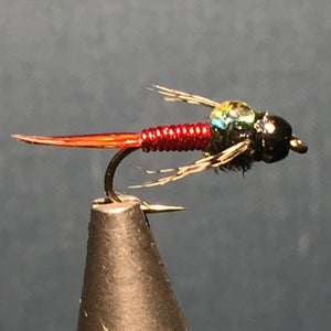 Our fly of the month  for August