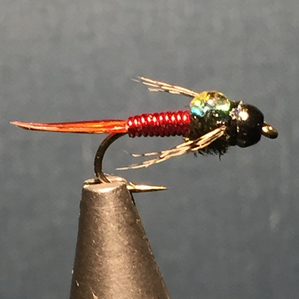 Our fly of the month  for August