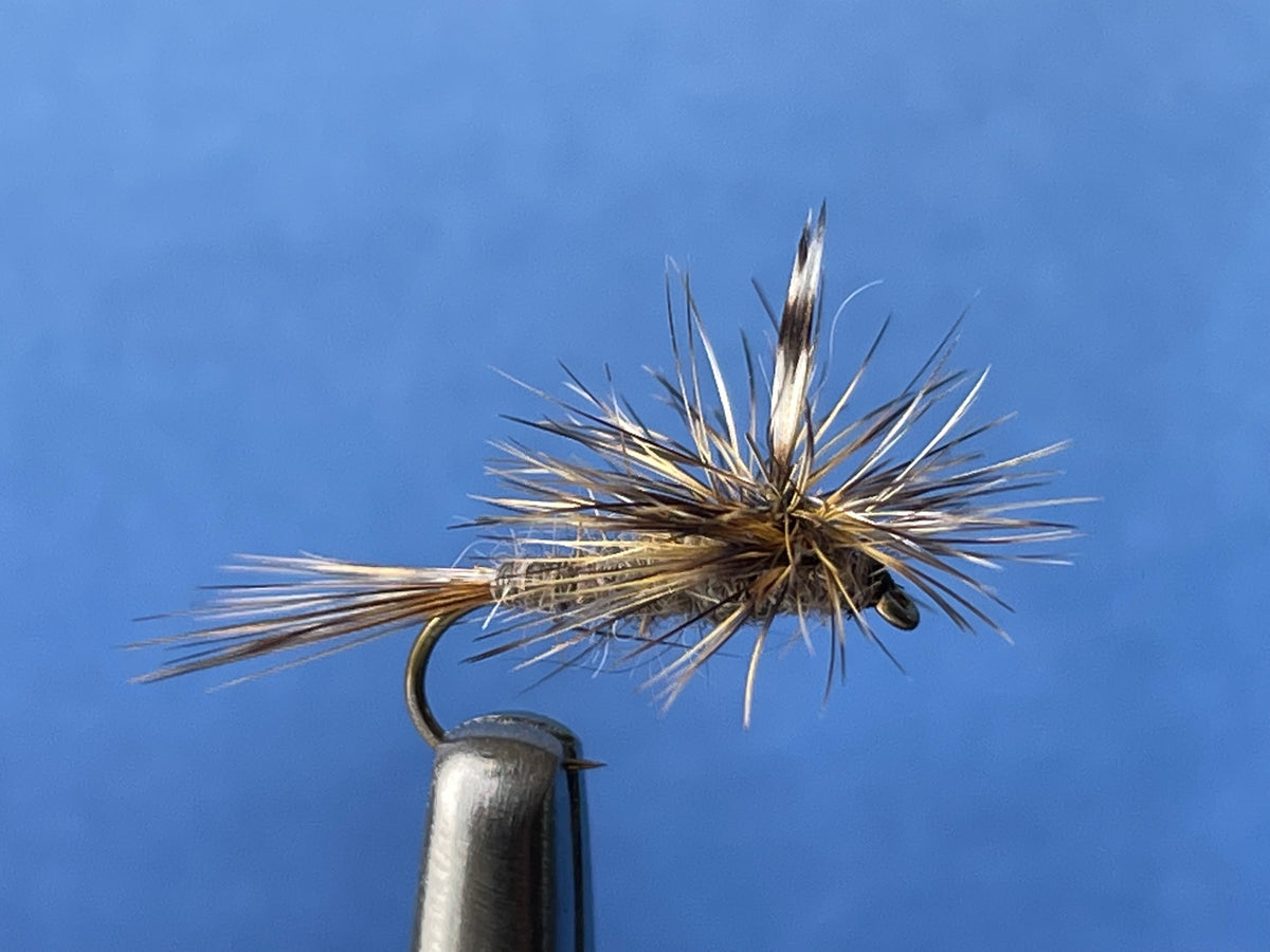 Bushys Grey Emerged Daves Special – The Fly Shop Australia