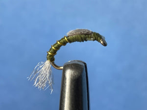 Buzzer Olive