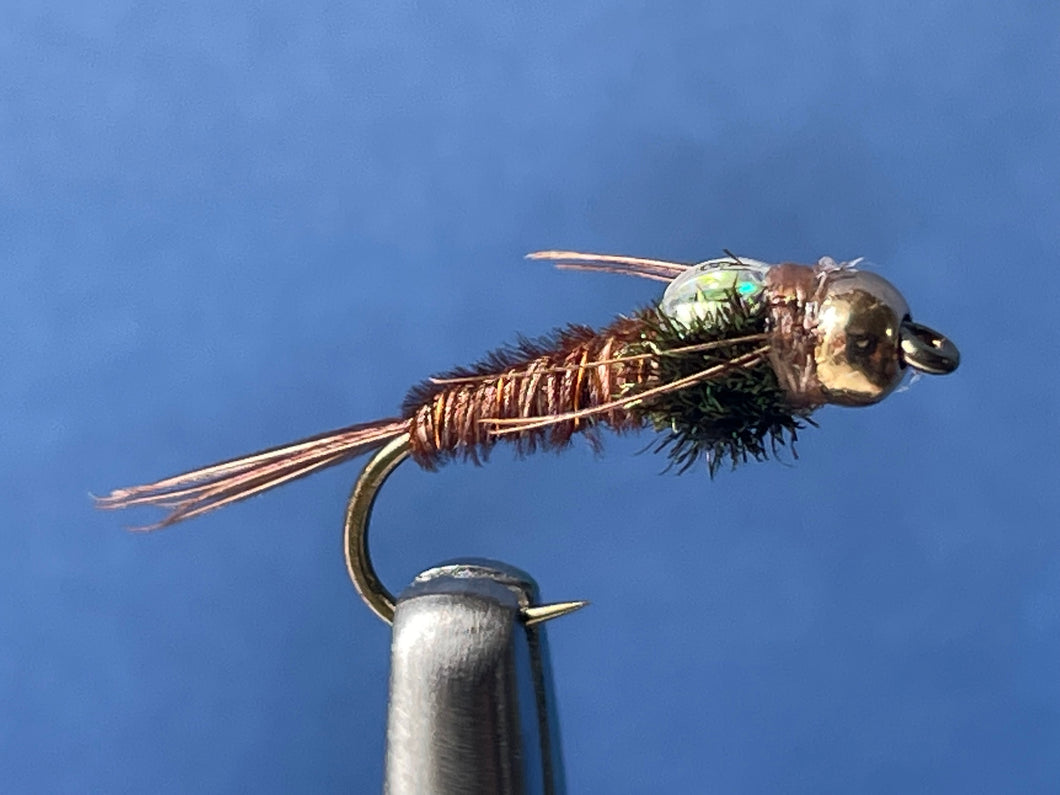 BH Gold Brass Pheasant Tail Flashback Nymph