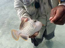 Bonefish Saltwater fly Gotcha
