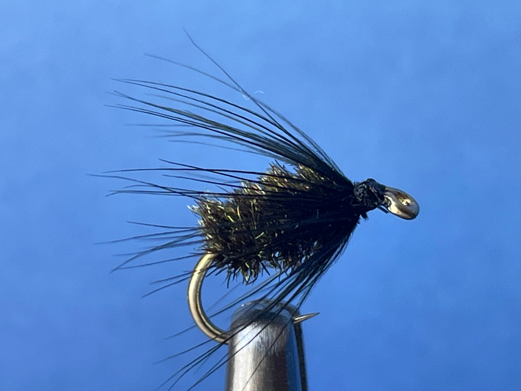 Black and Peacock Spider