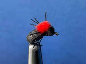 Foam Black Beetle with Sighter