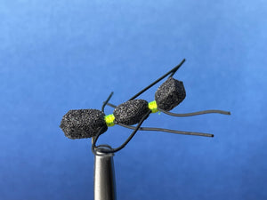 Chernobyl Ant