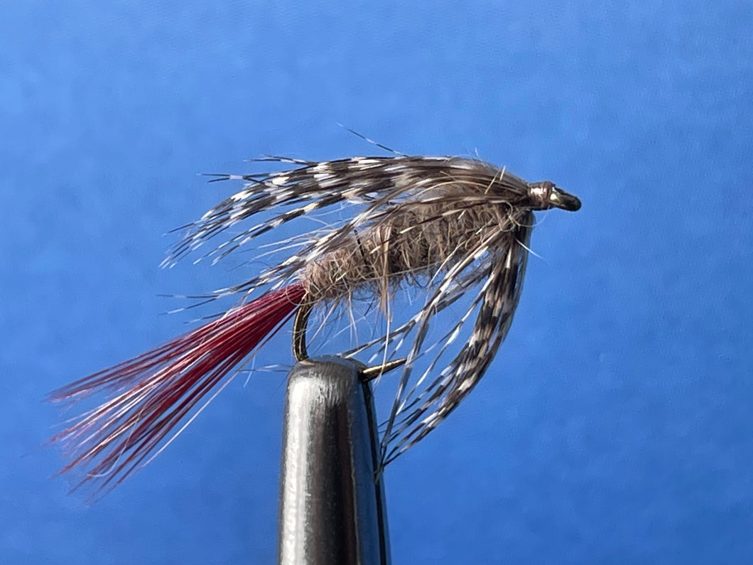 Duck Fly
