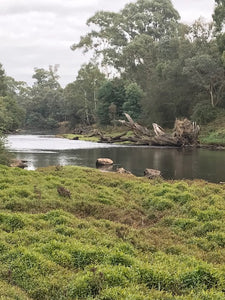 Goulburn River - Autumn Pack