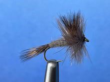 Grey Wulff