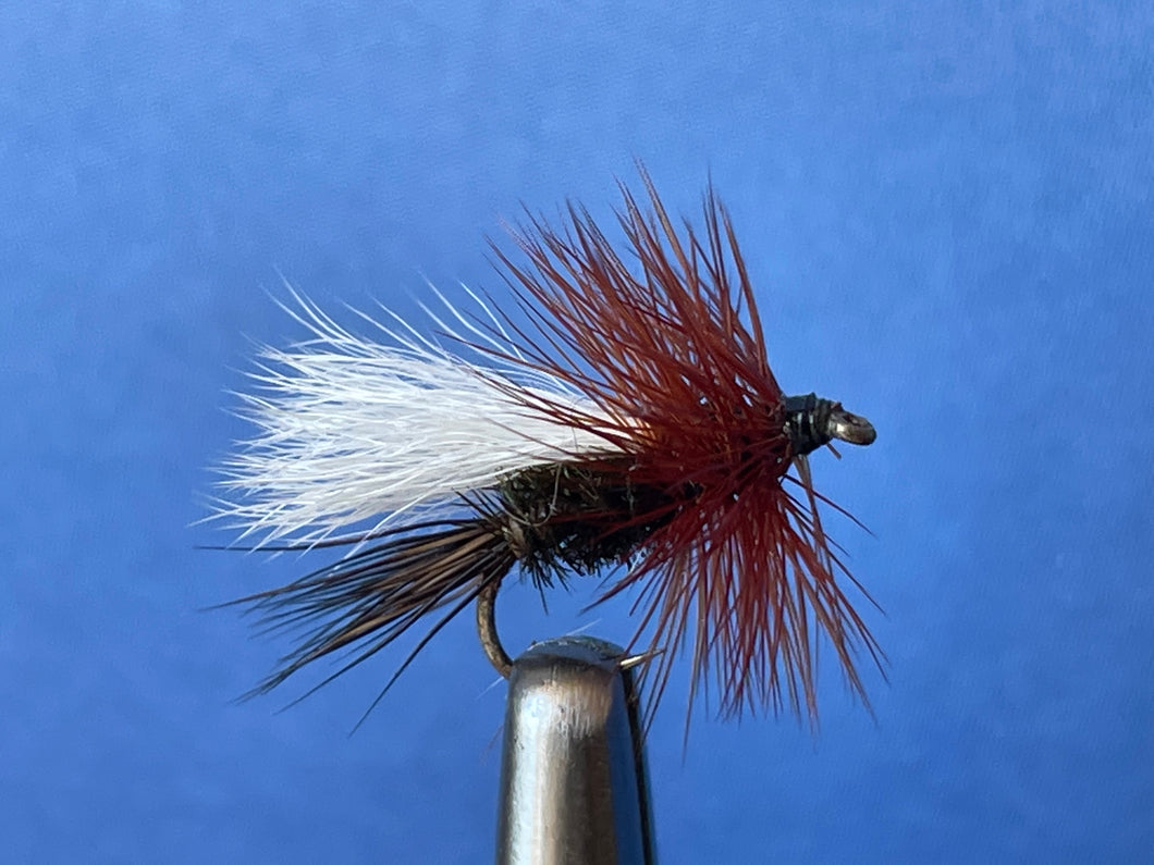 Hairwing Coachman