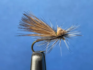 Hot Creek Caddis