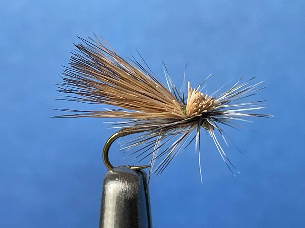 Hot Creek Caddis