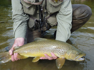Yellow Humpy