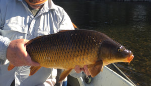 Mud marlin Goober Orange (carp Fly)