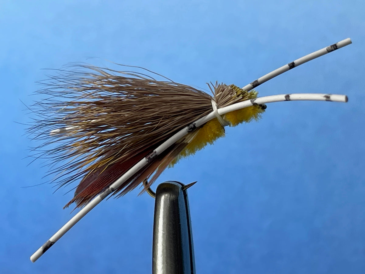 Miss Knobby X The Fly Shop Australia