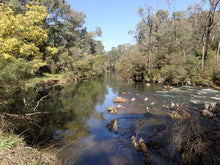 Big River - Spring Pack