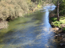Jamieson River- Spring Pack