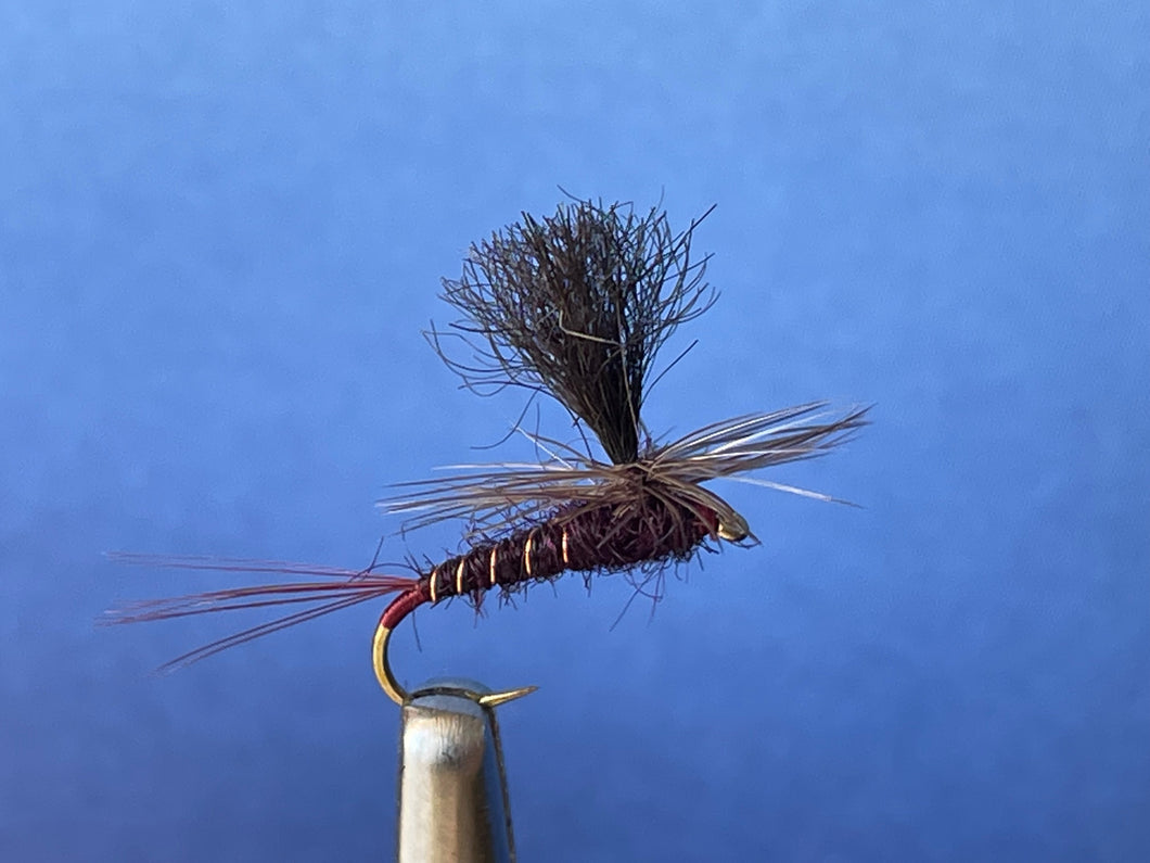 Parachute Claret Possum Dun