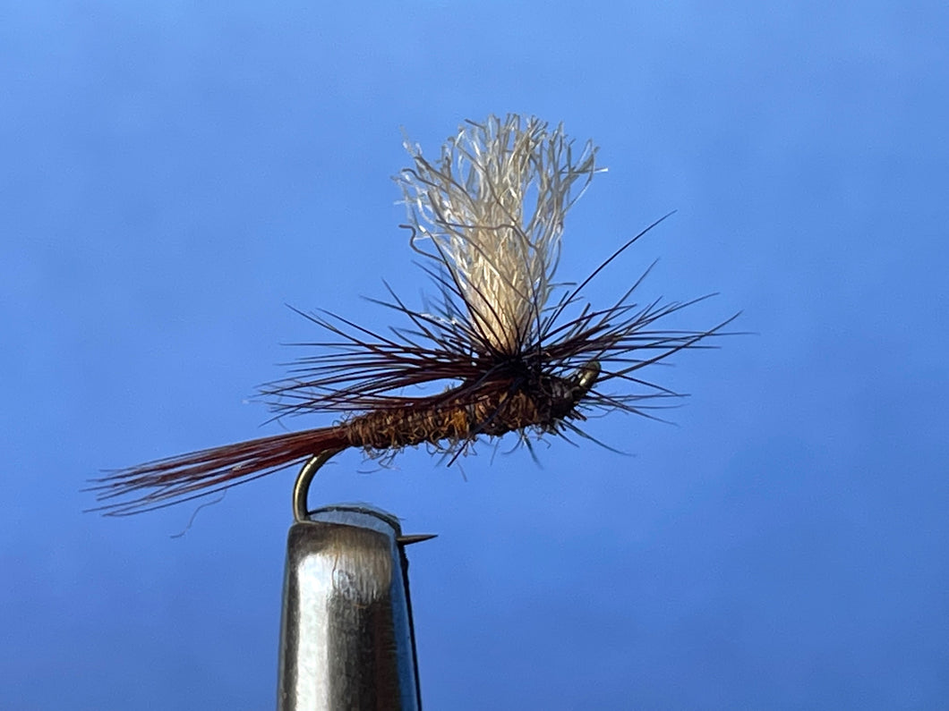 Rusty Tailrace Dun