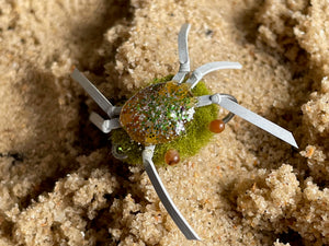Saltwater Turncliffe Crab Sparkle Back