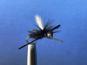 USA Rubber Leg Cicada Black