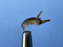 Waterboatman