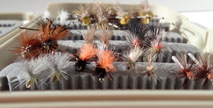 Acheron River - Summer Pack